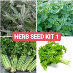 Herbs Seed Kit 2