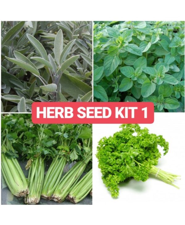 Herbs Seed Kit 2