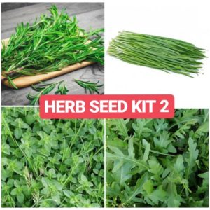 Herbs Seed Kit