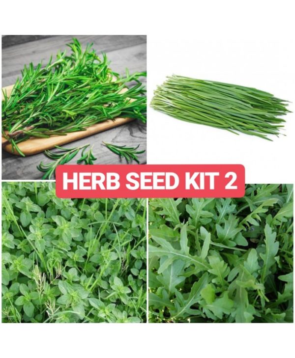 Herbs Seed Kit