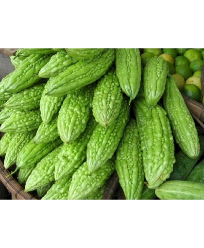 Bitter Gourd Bharti Buy Online Vegetable Flower Seeds Garden Tools