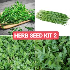 herb seed kit 2