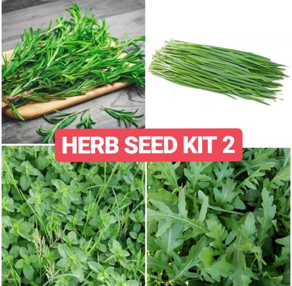 herb seed kit 2