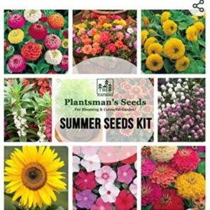 Summer flower seeds kit(Set of 12 Selected Varieties)