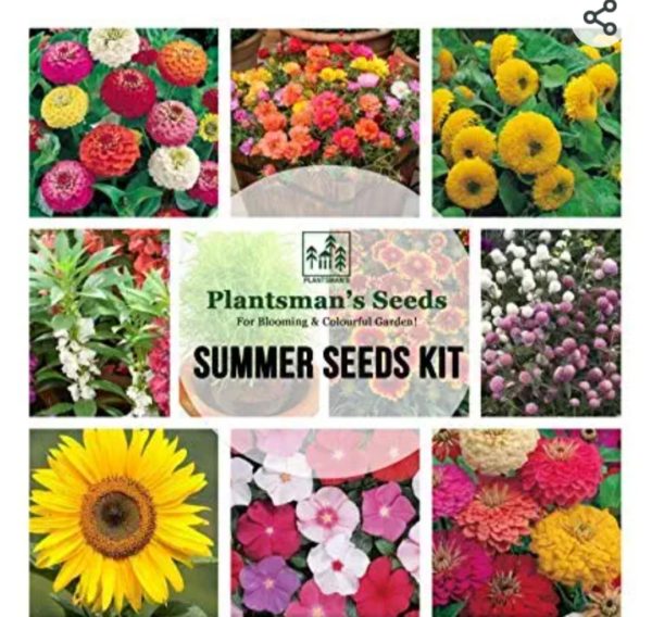 Summer flower seeds kit(Set of 12 Selected Varieties)